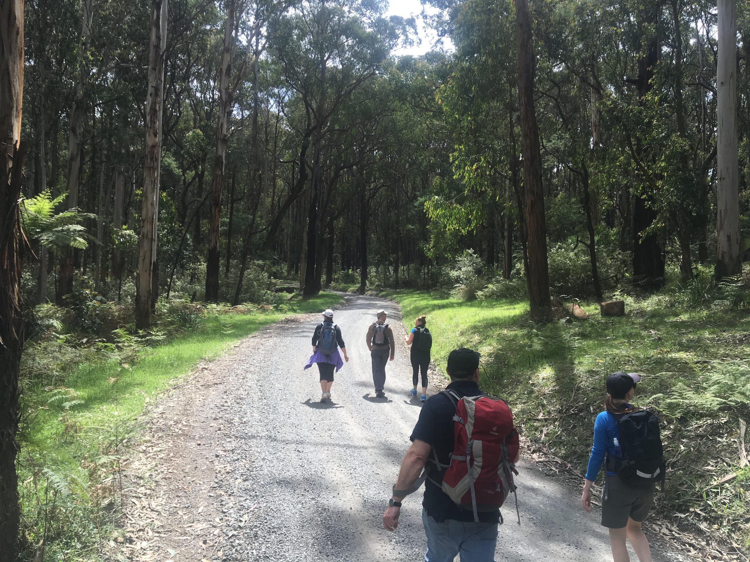 Silvan Reservoir Picnic Ground