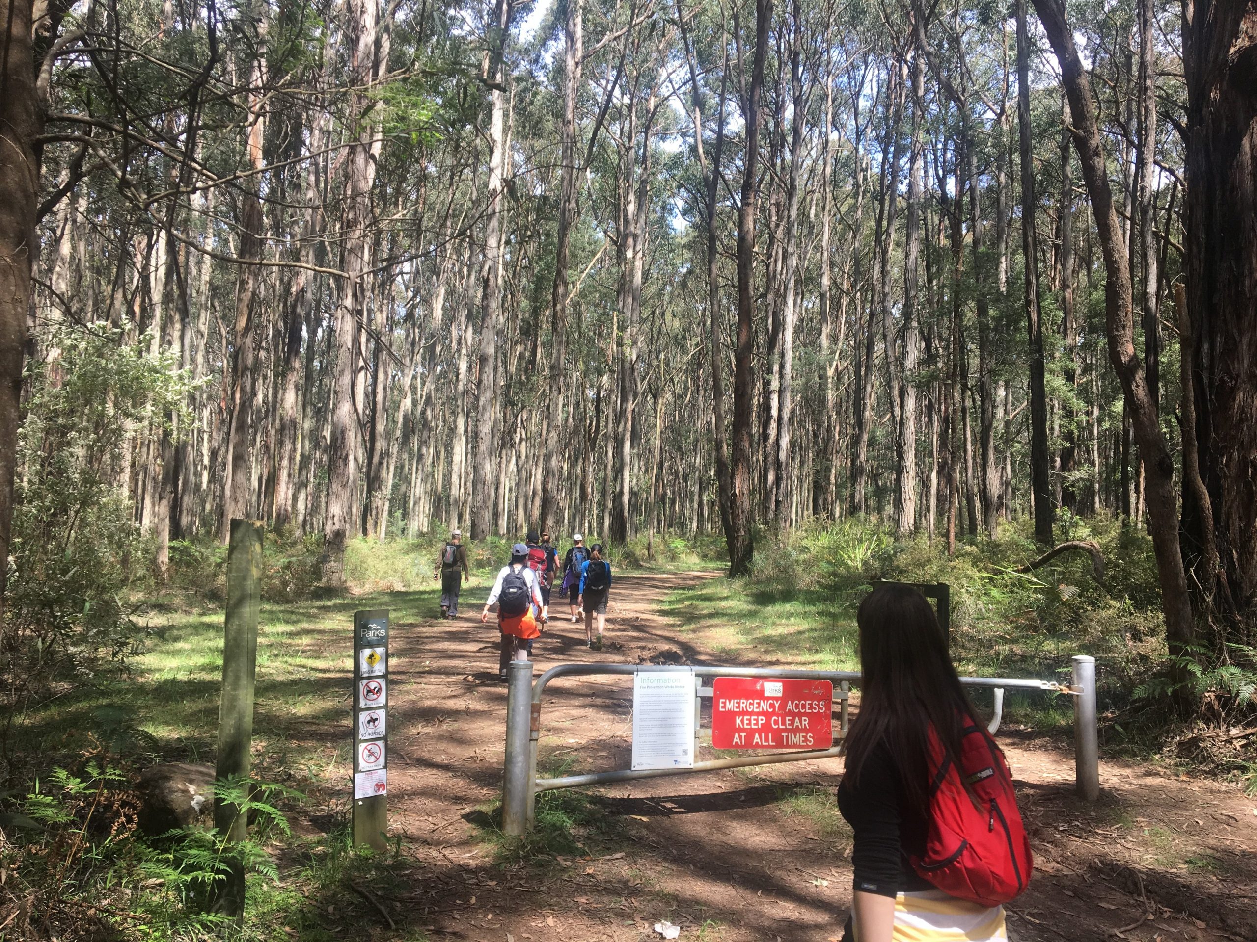 Silvan Reservoir Picnic Ground