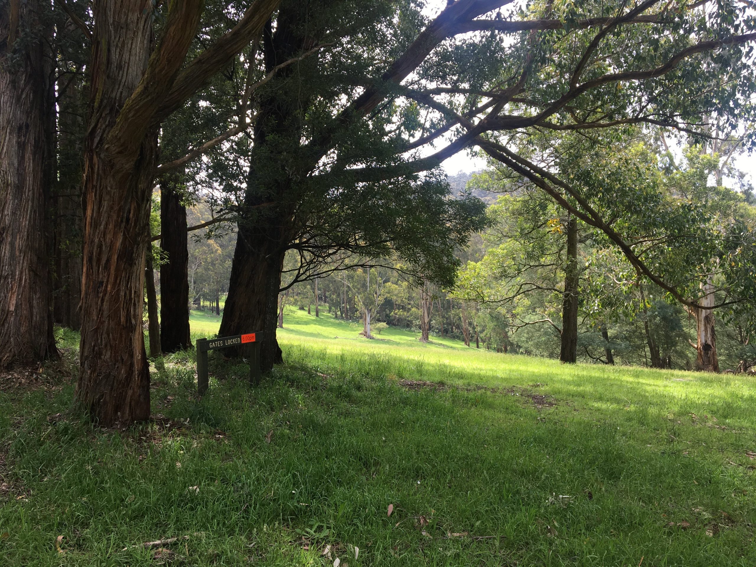 Silvan Reservoir Picnic Ground