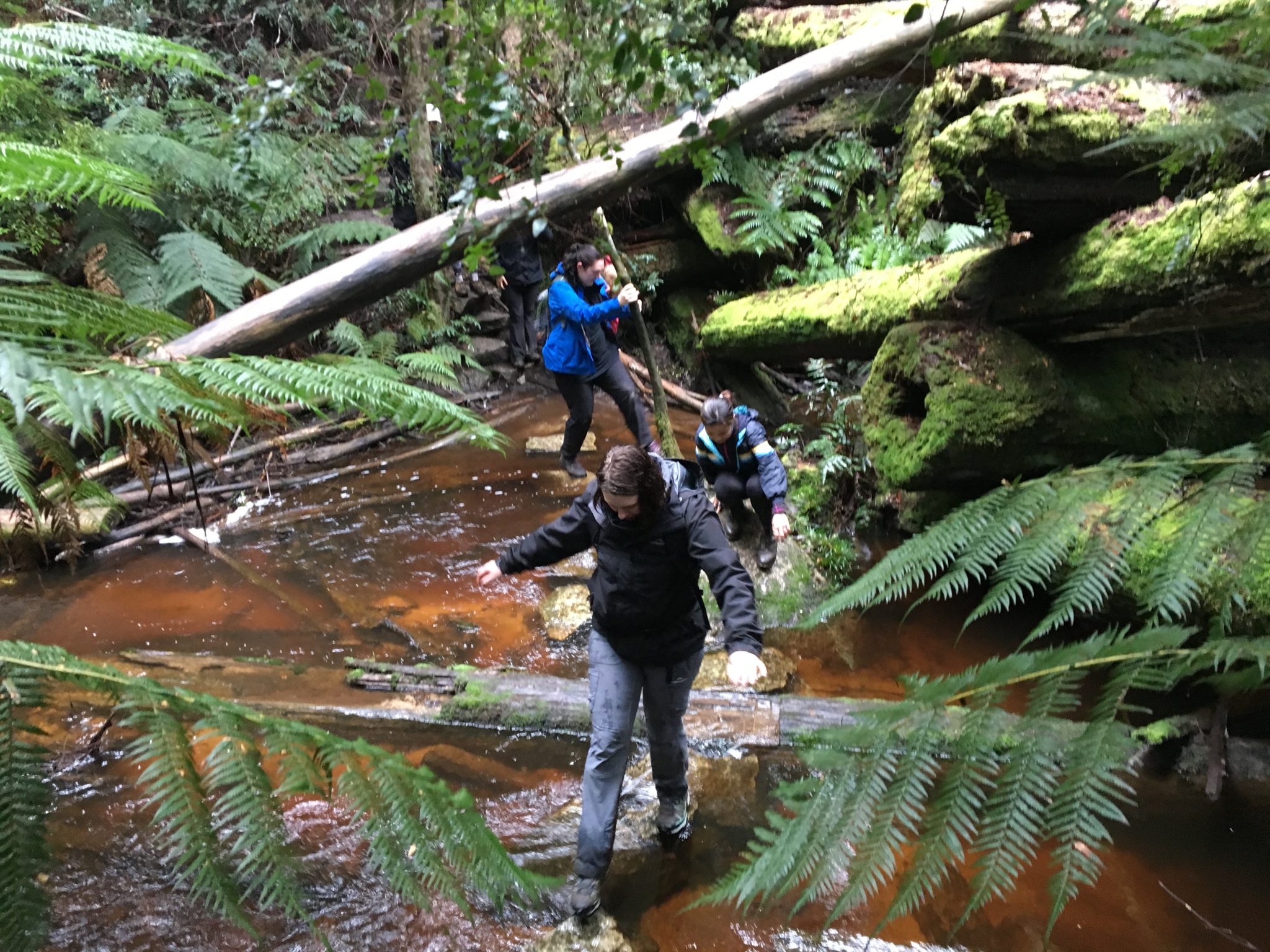 Starlings Gap to New Federal Mill