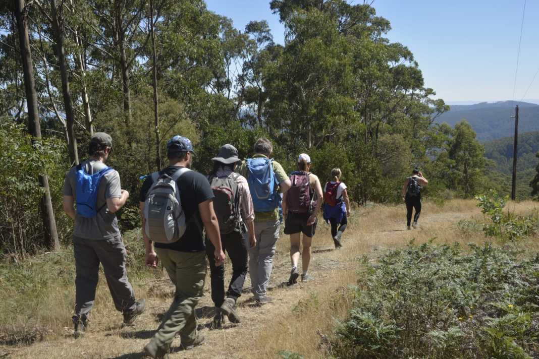 tanglefoot loop