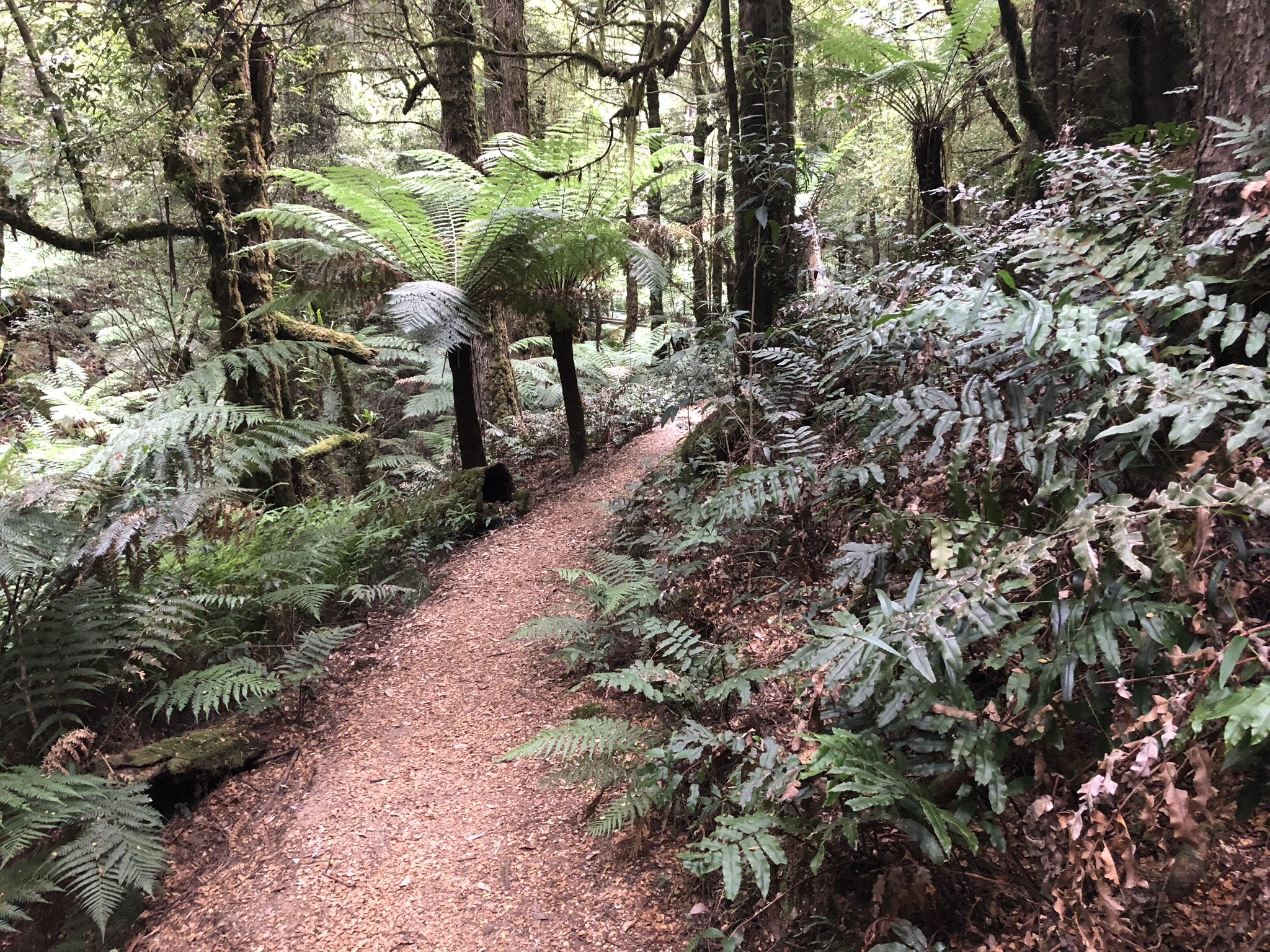 ada tree walk