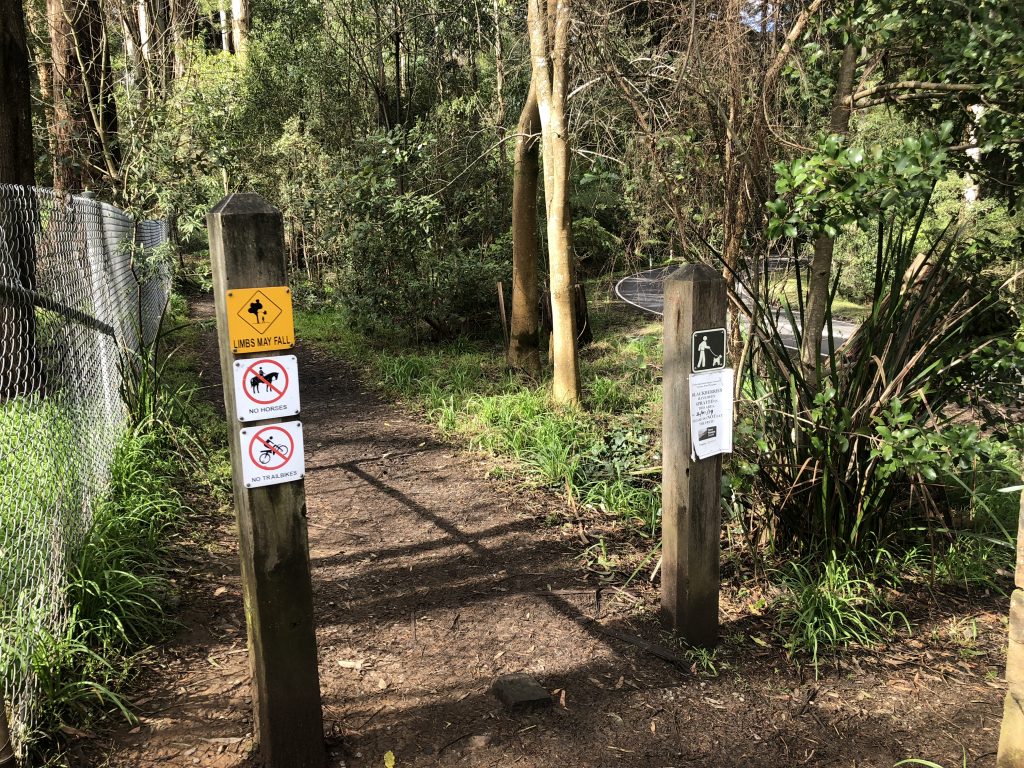 tan track dandenong ranges