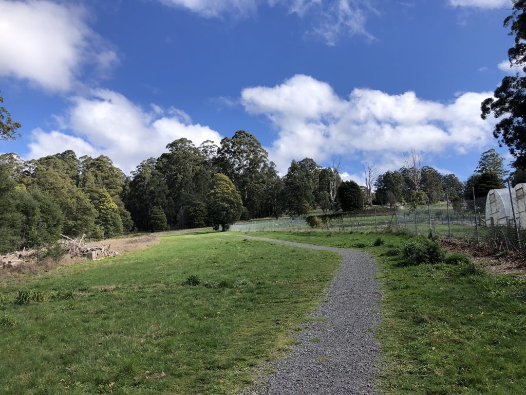 tan track dandenong ranges