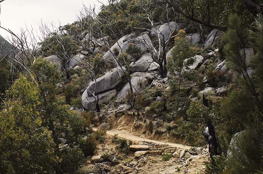 Tidal River to Little Waterloo Bay