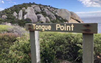 Tongue point trail