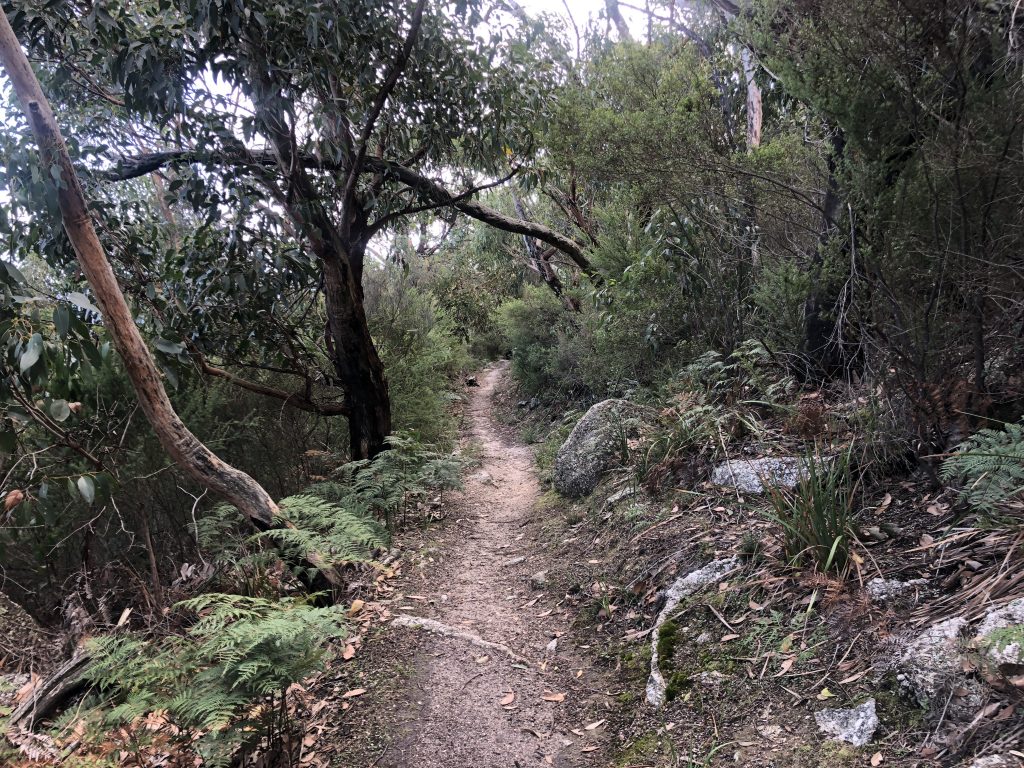 Tongue point trail