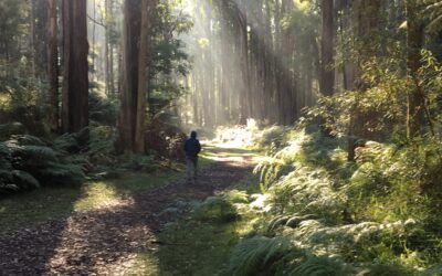 valley picnic ground