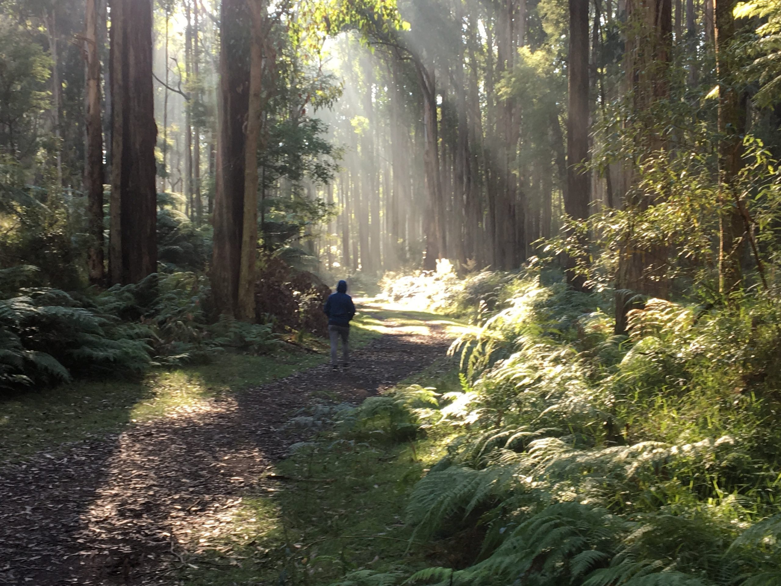 valley picnic ground