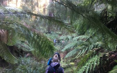 valley picnic ground