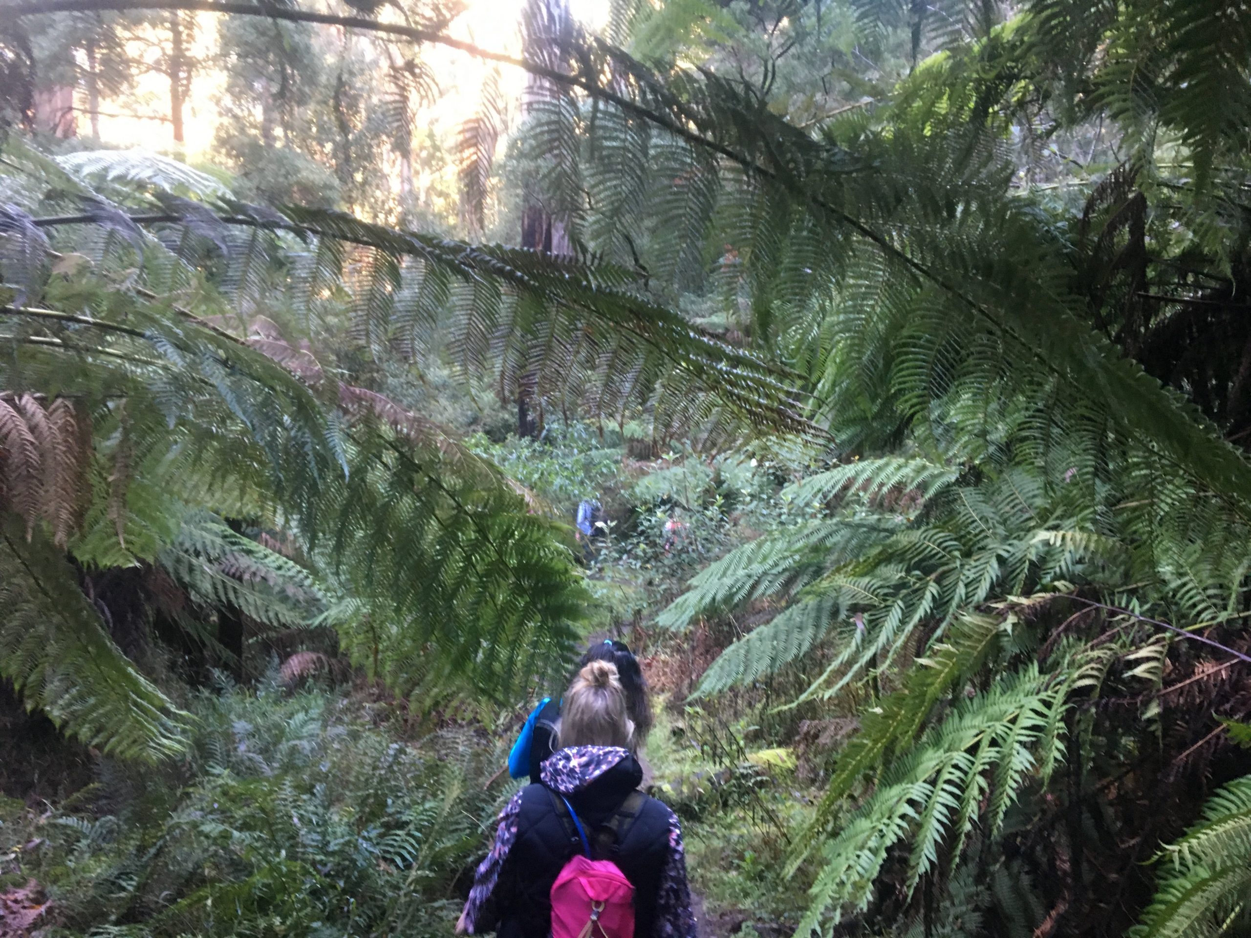 valley picnic ground