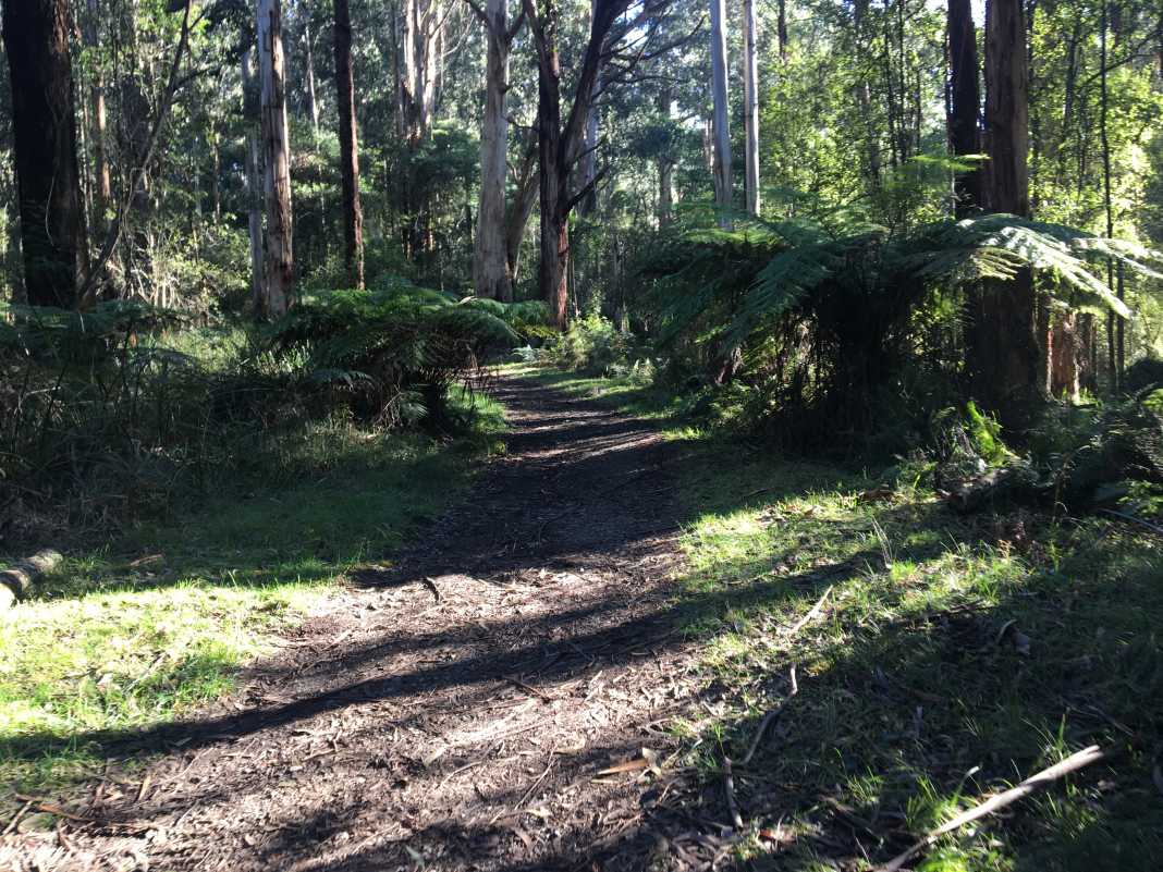 valley picnic ground