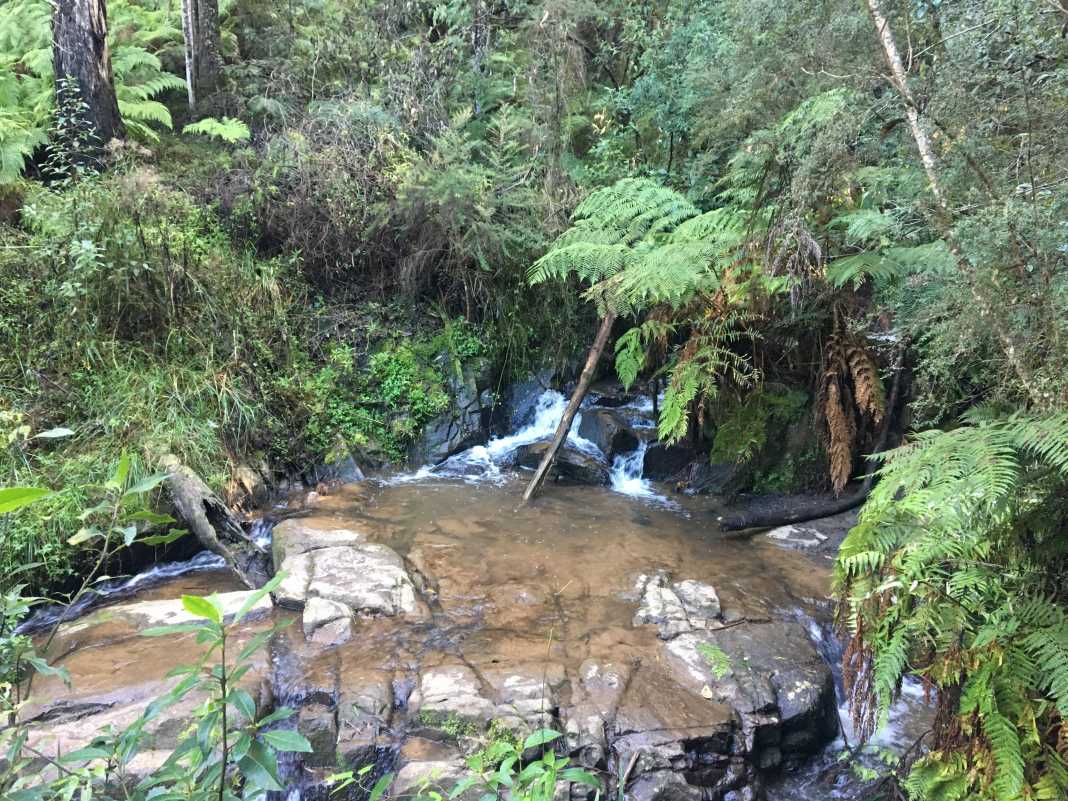 Valley Picnic Ground 