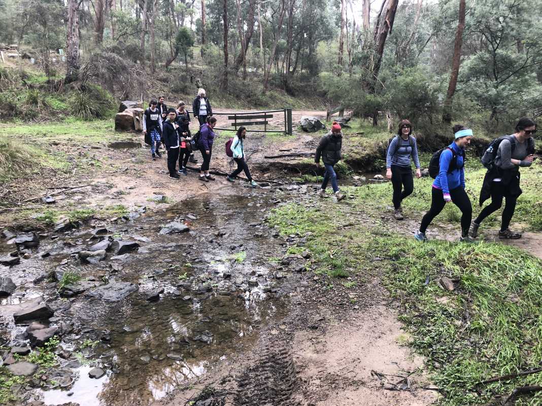 Whipstick Gully Track