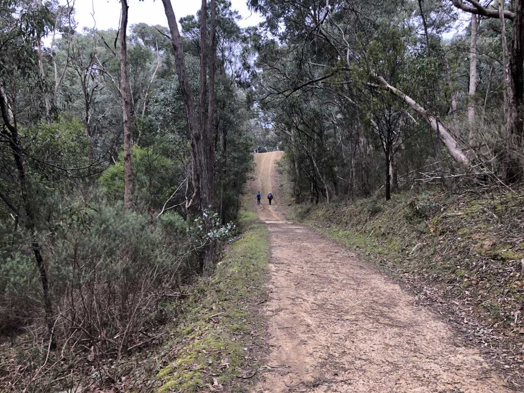 Whipstick Gully Track