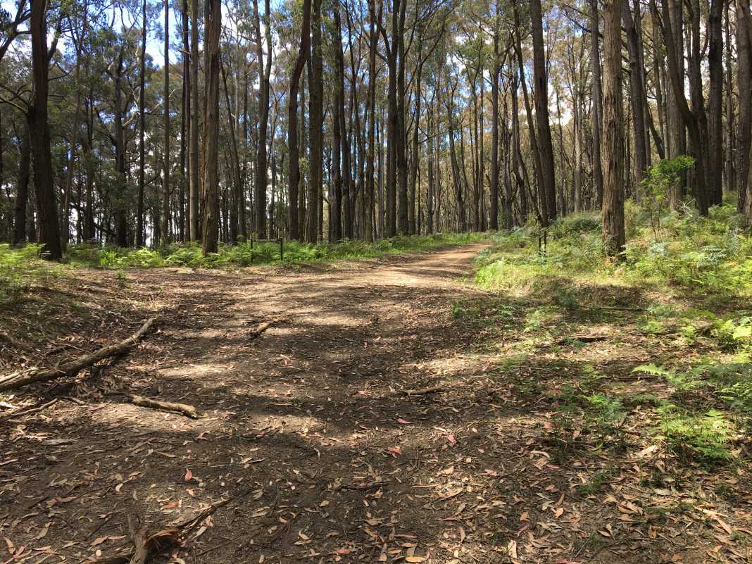 windy point track