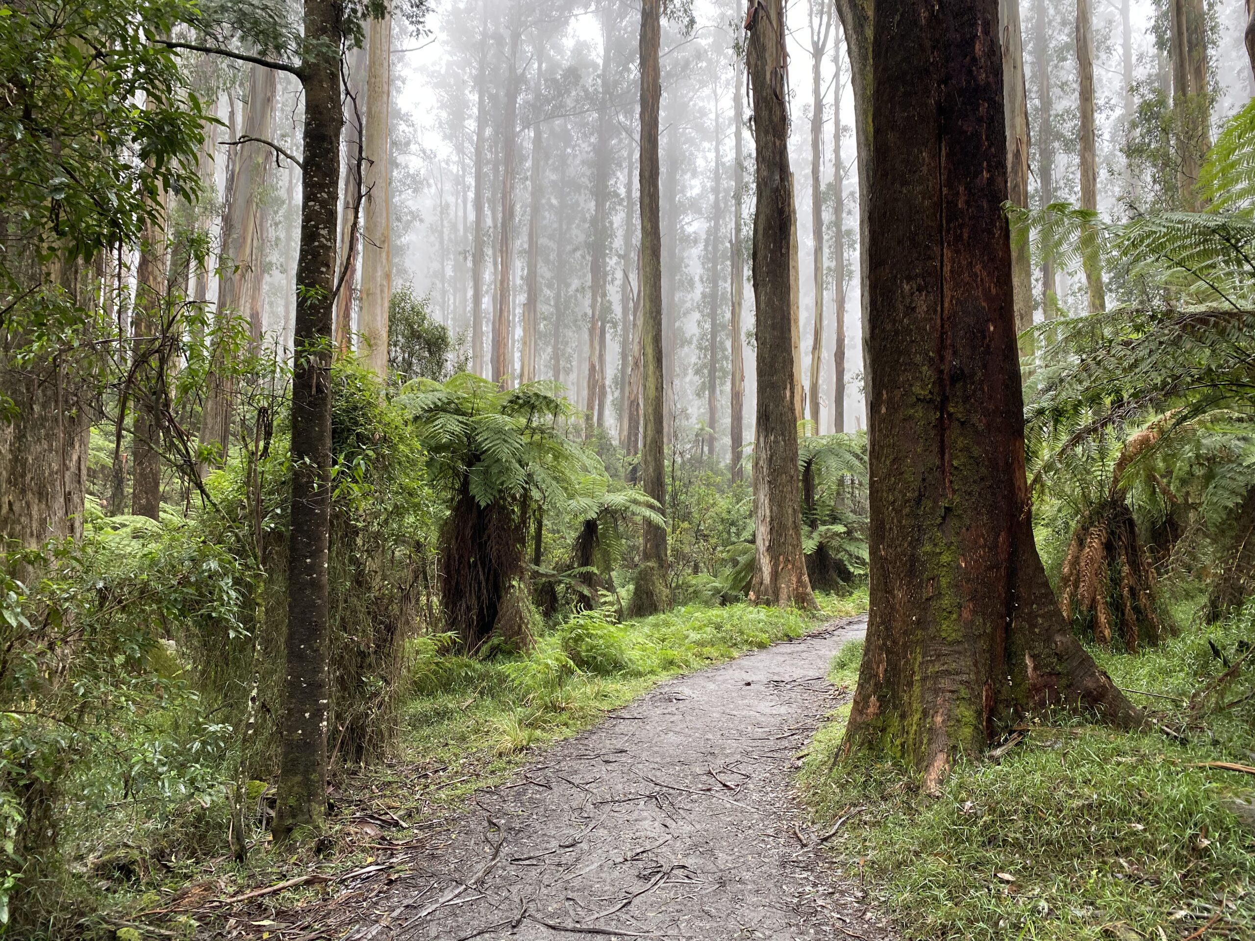 beginner day hikes