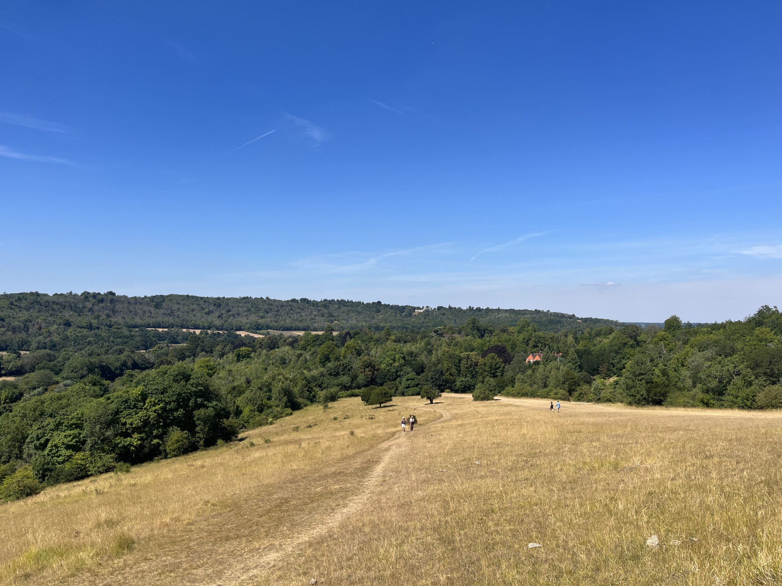 box hill hike