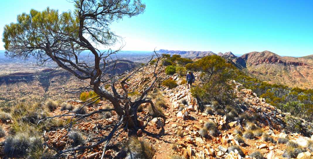 bushwalking blog