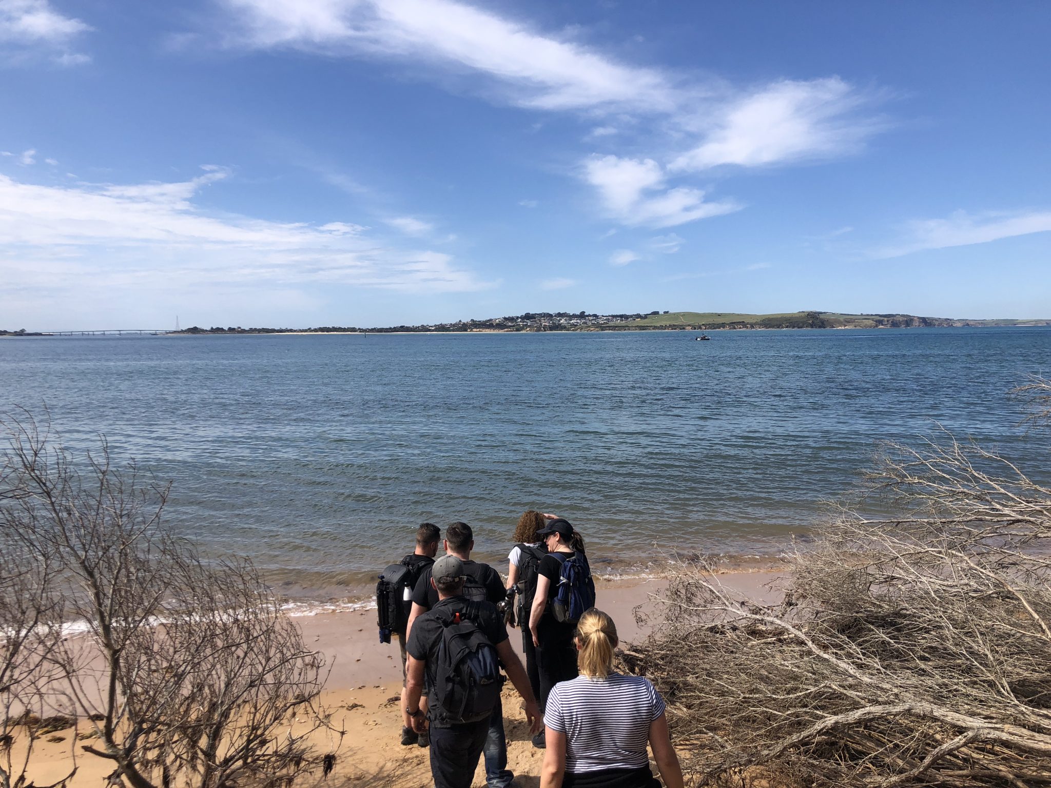 cape woolamai walk