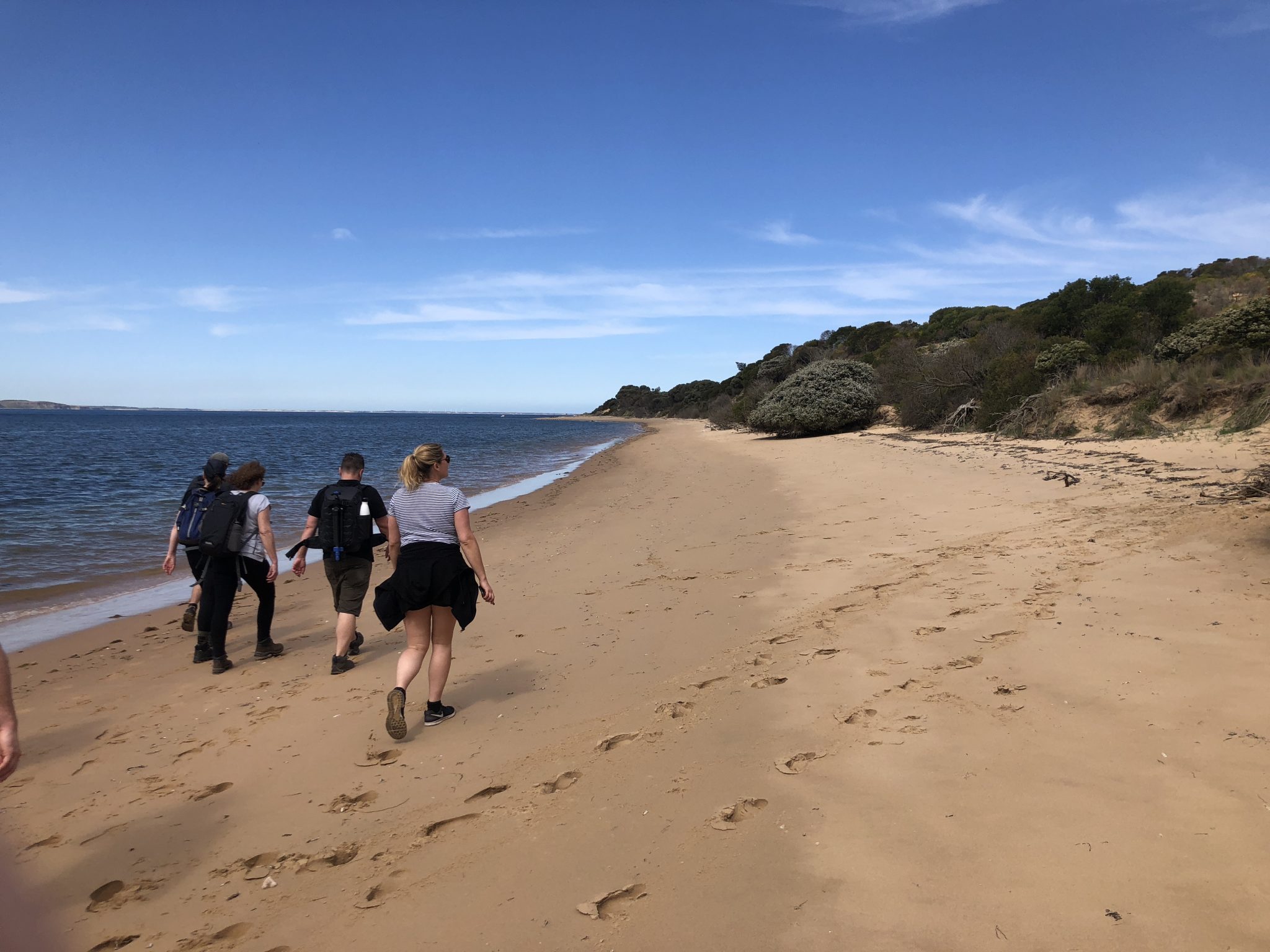 cape woolamai walk