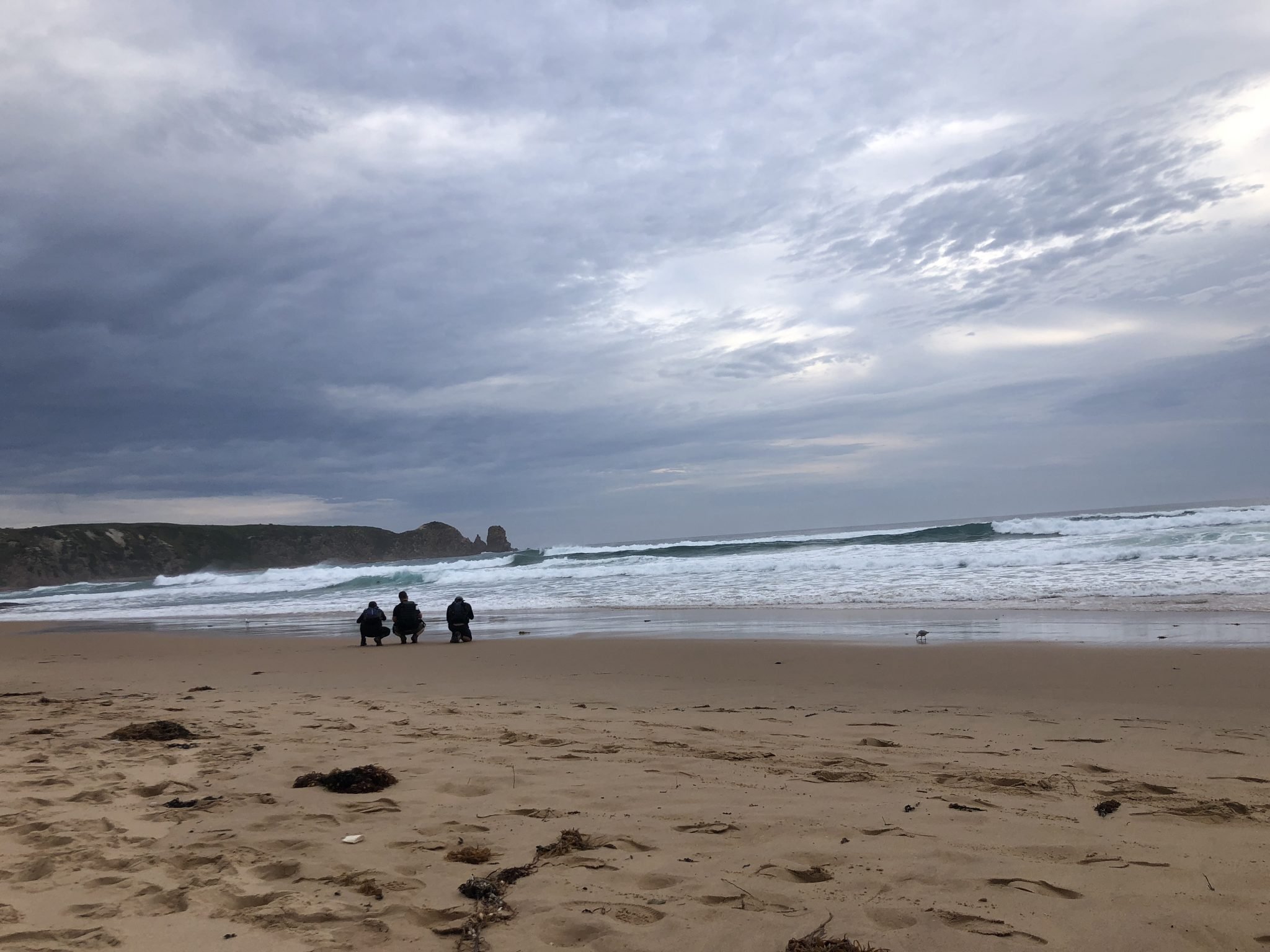 cape woolamai walk