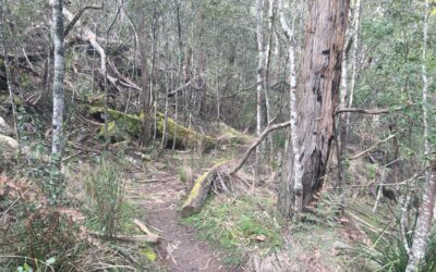 lerderderg state park