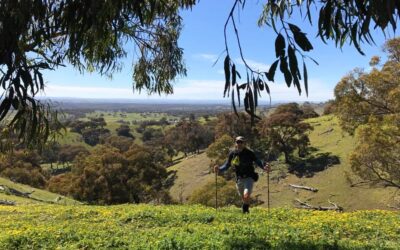 goldfields track