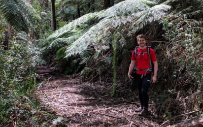 hiking in warburton