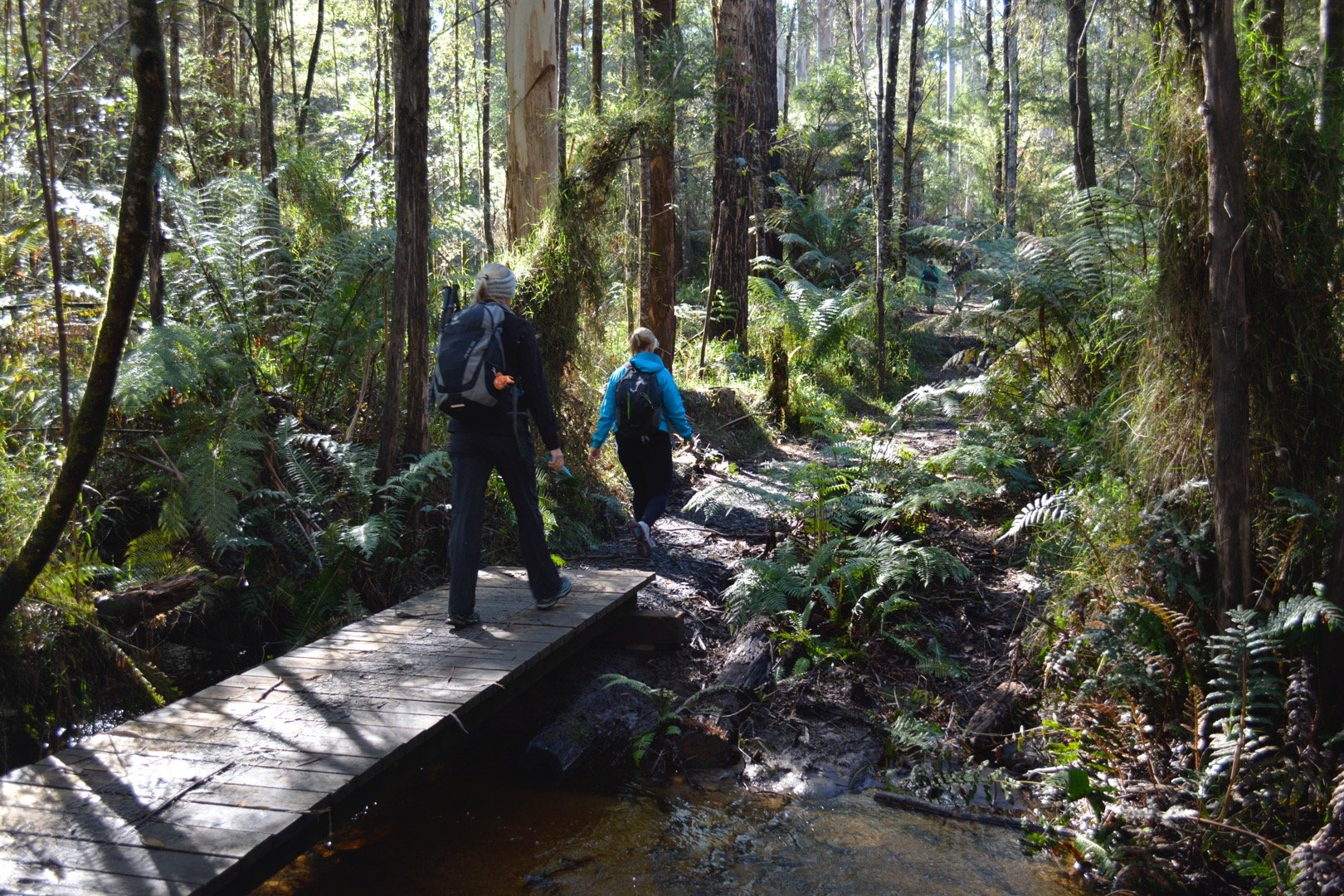 hiking in warburton