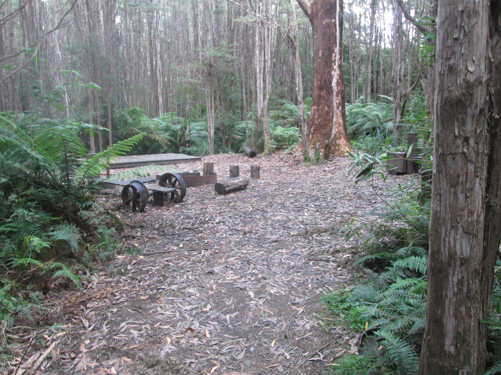 hiking in warburton