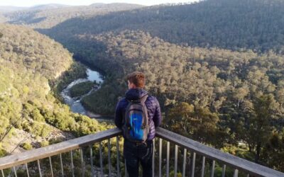 Mitchell River Walking Track