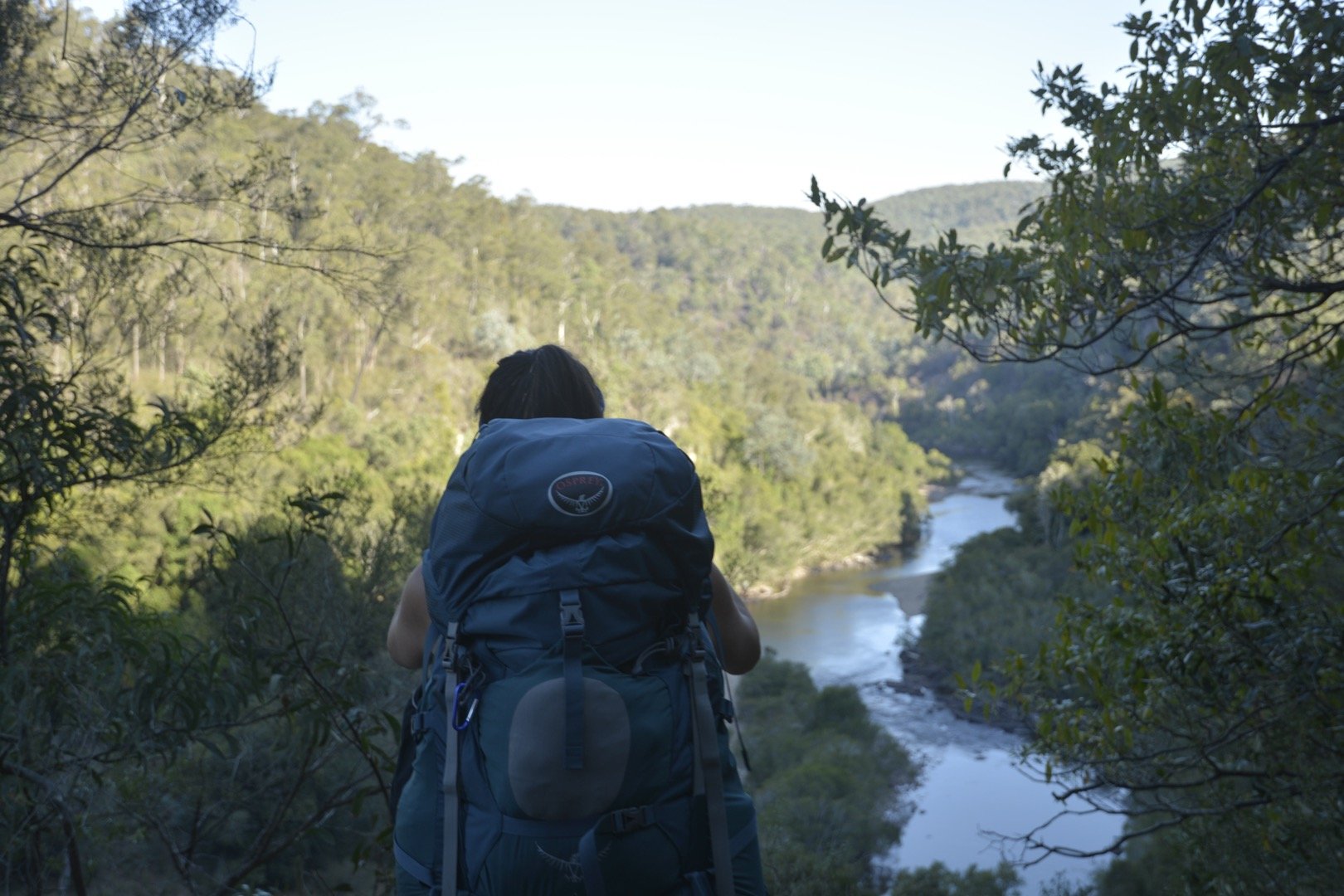 Mitchell River Walking Track