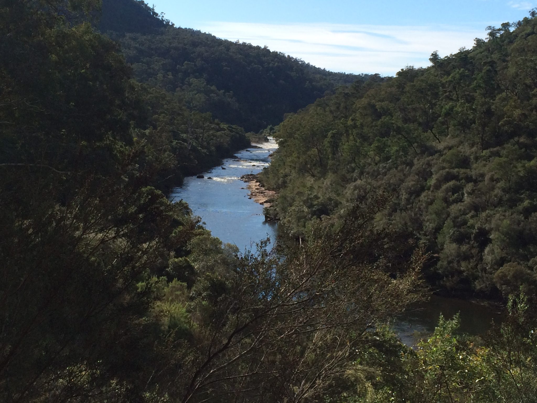 Mitchell River Walking Track