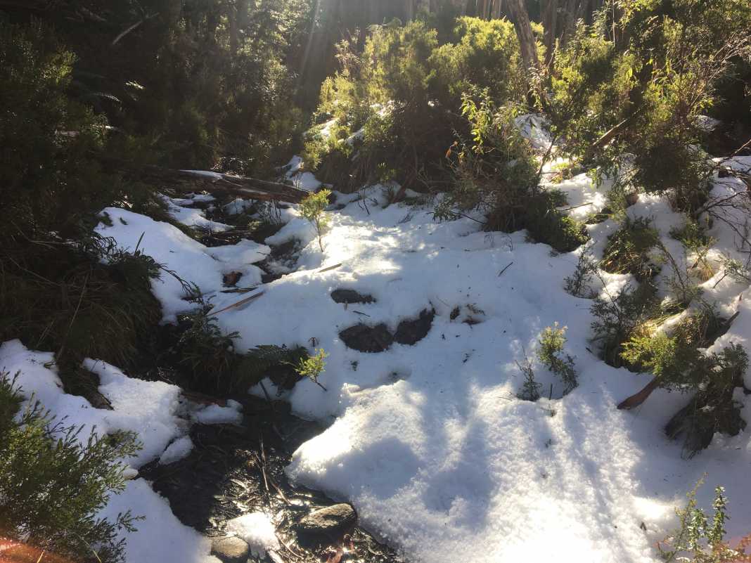 mushroom rocks to talbot peak