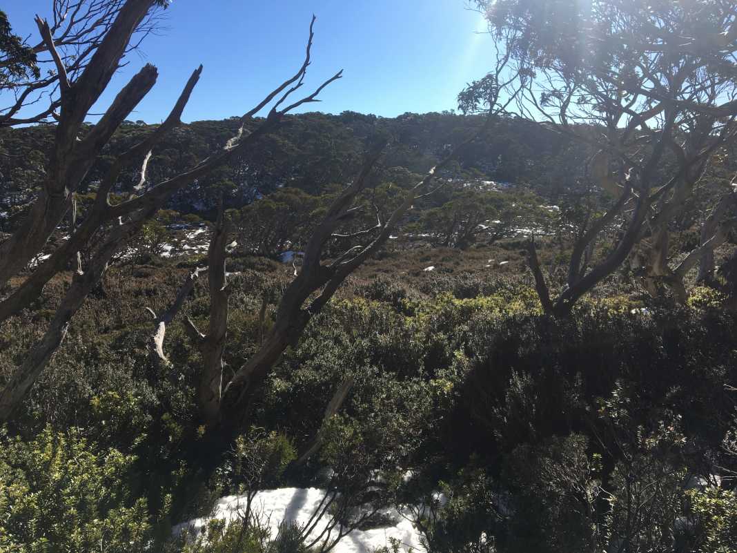 mushroom rocks to talbot peak