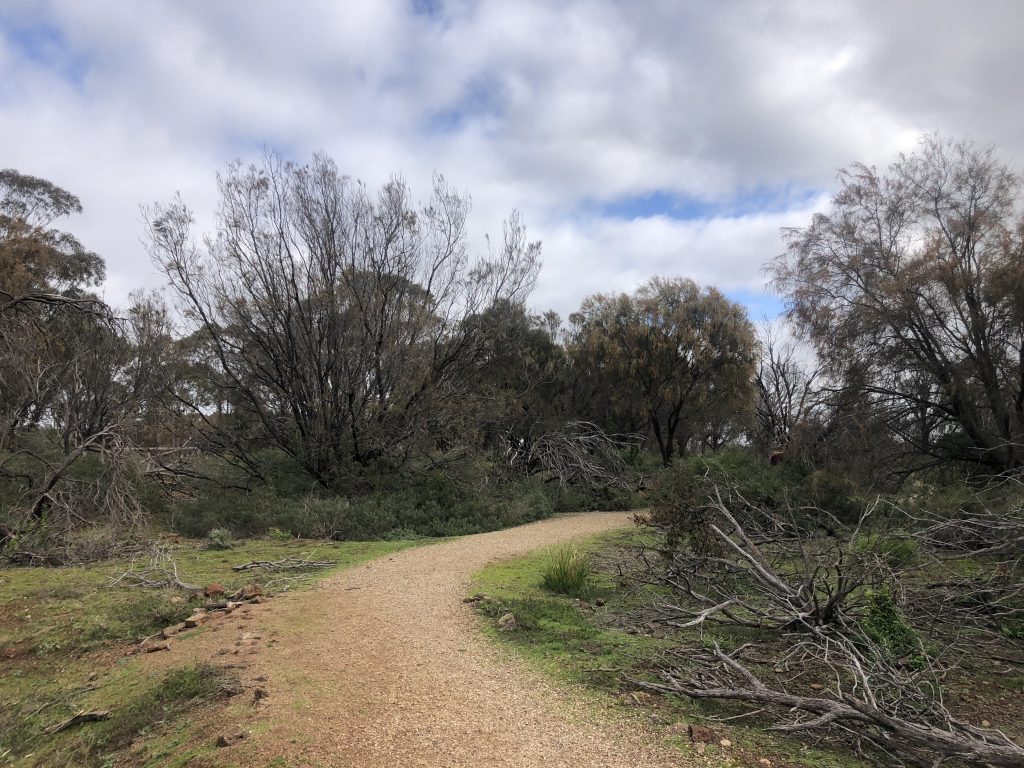 organ pipes trail