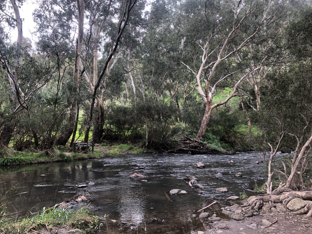 organ pipes trail