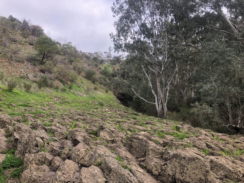 organ pipes trail