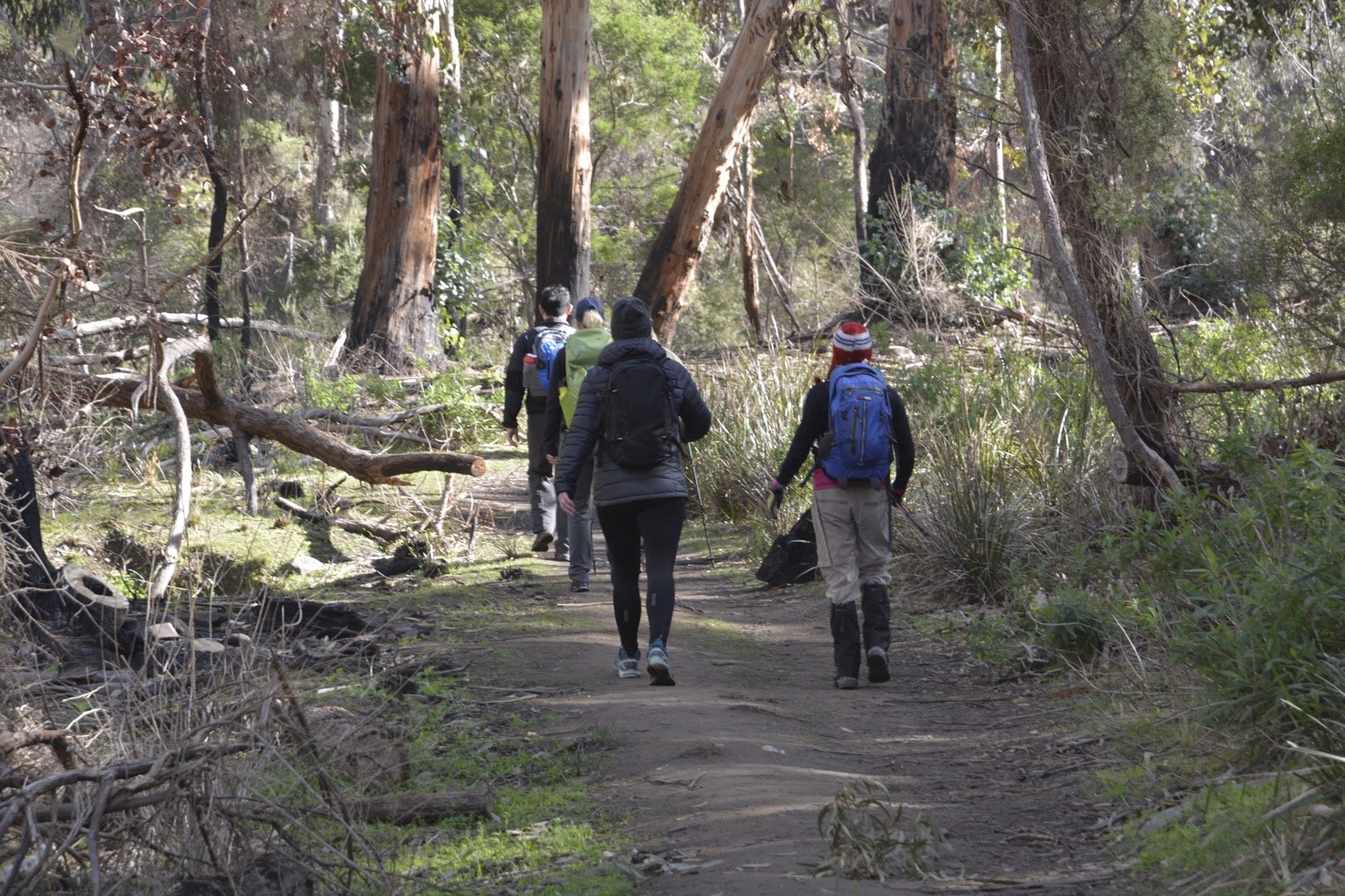 scenic rim