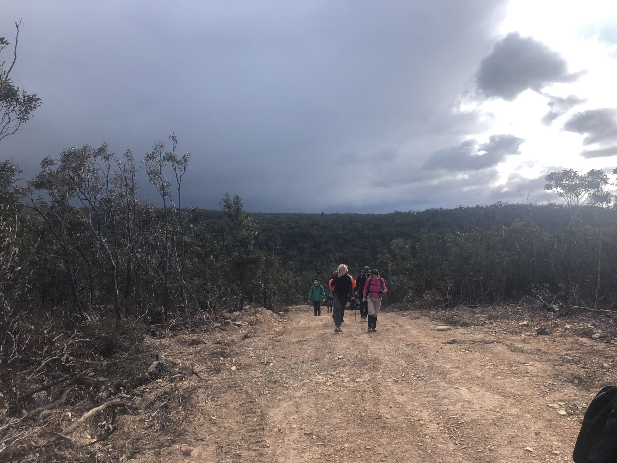 scenic rim