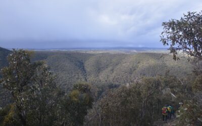 scenic rim