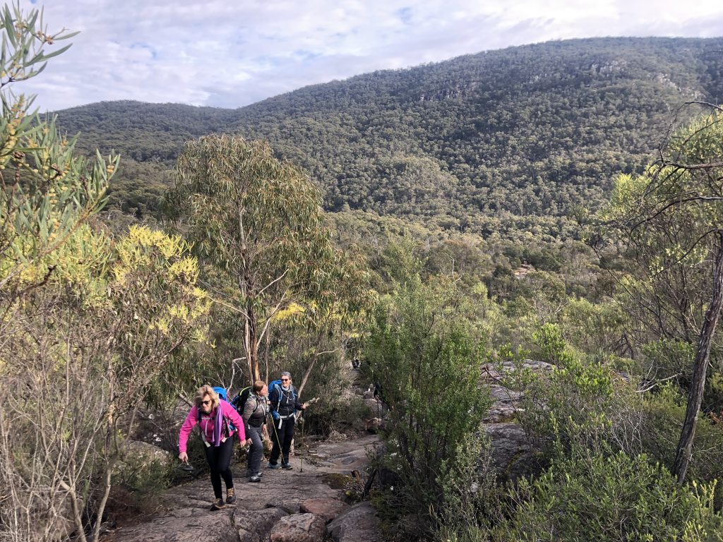 short pinnacle circuit grampians