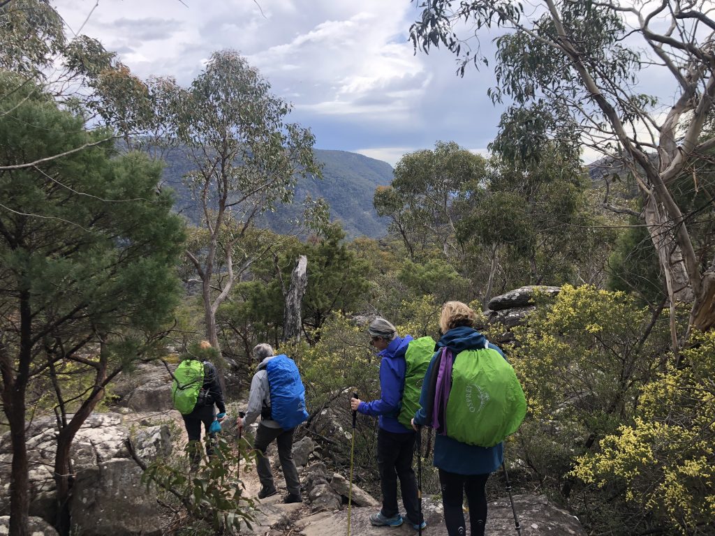 short pinnacle circuit grampians