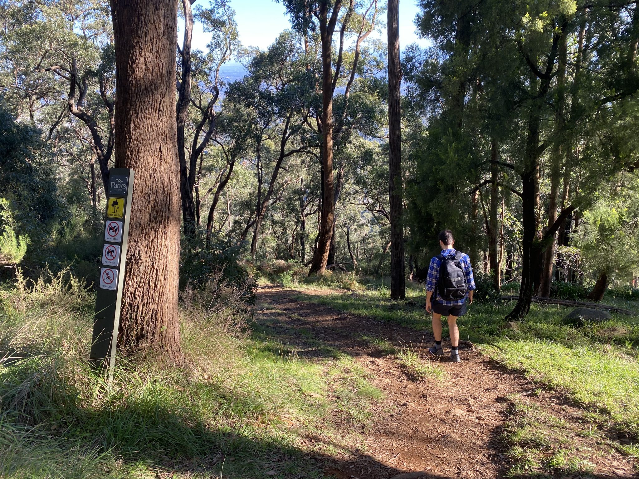 hiking in the dandenongs