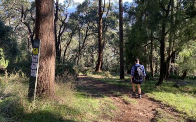 western slopes hiking track