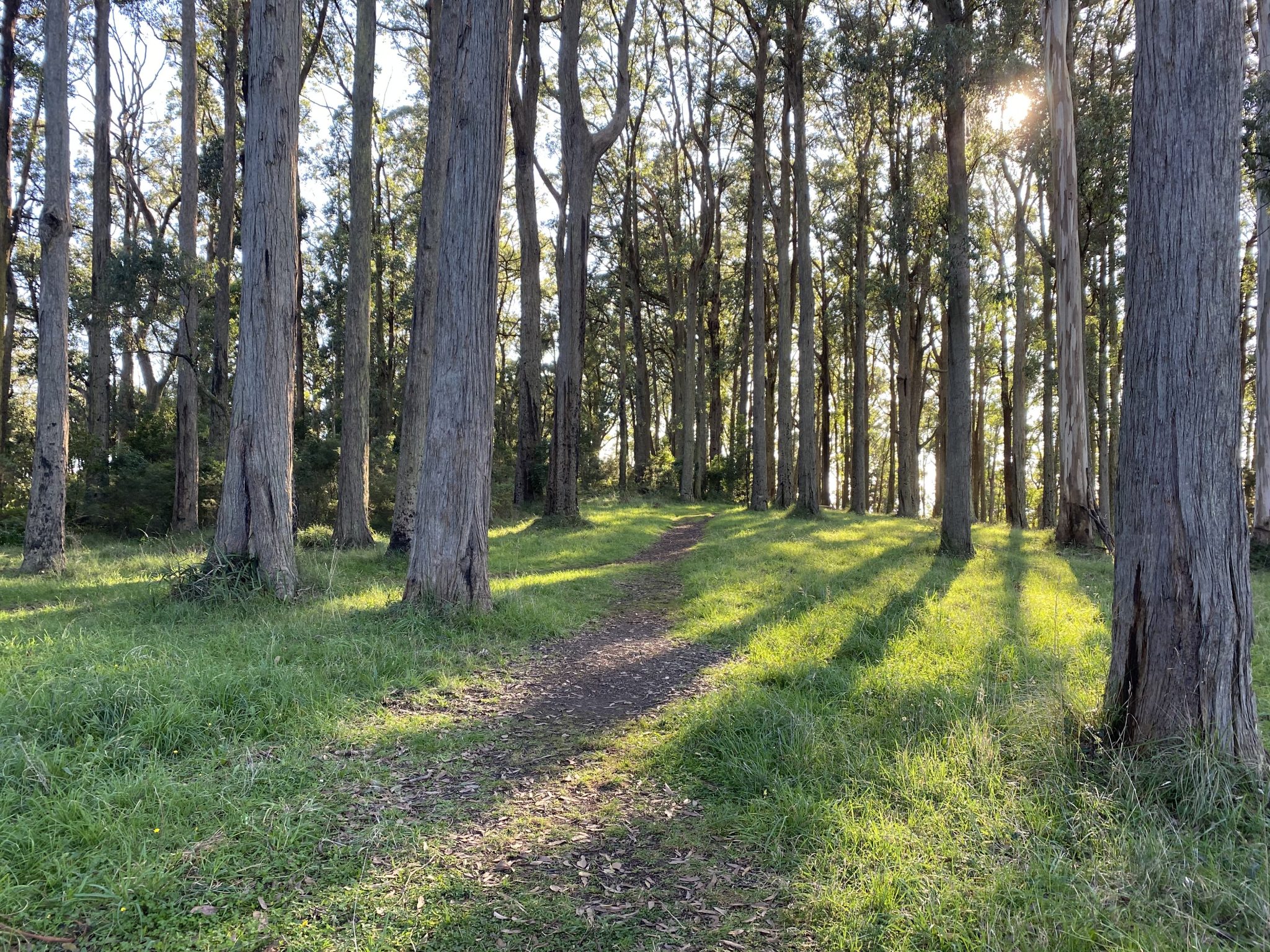 western slopes hiking track