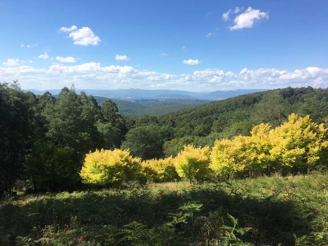 woolrich lookout